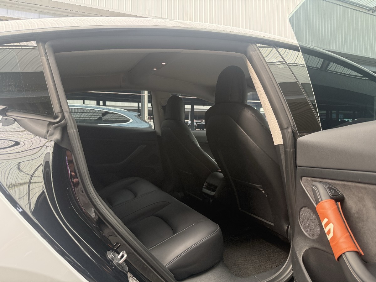 Tesla Model 3 2021 #7 Tesla Model 3 2021 car image #7