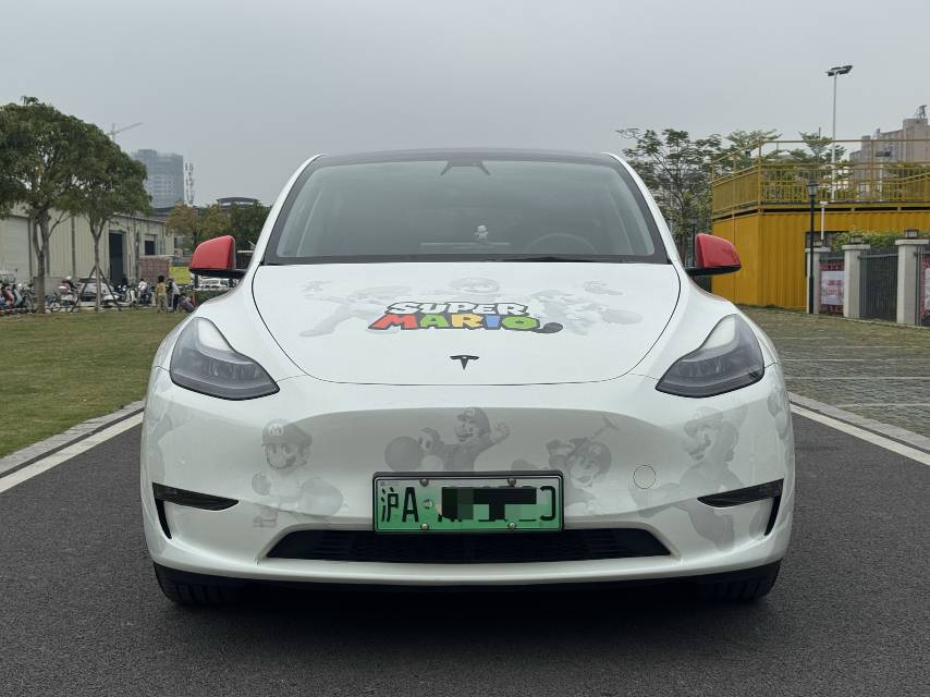 Tesla Model Y 2021 #4 Tesla Model Y 2021 car image #4