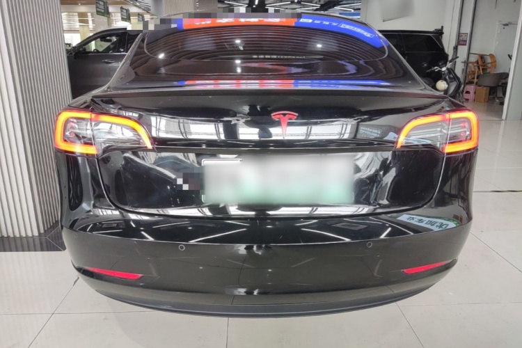 Tesla Model 3 2022 #6 Tesla Model 3 2022 car image #6