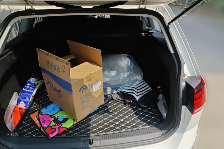 Volkswagen Golf (Imported) 2018 imagem de carro #21