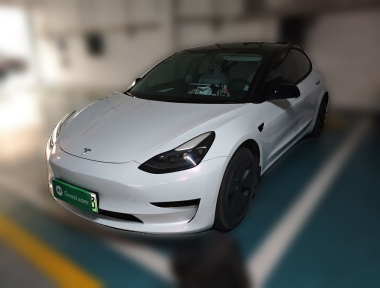 Tesla Model 3 2022 Tesla Model 3 2022 car image