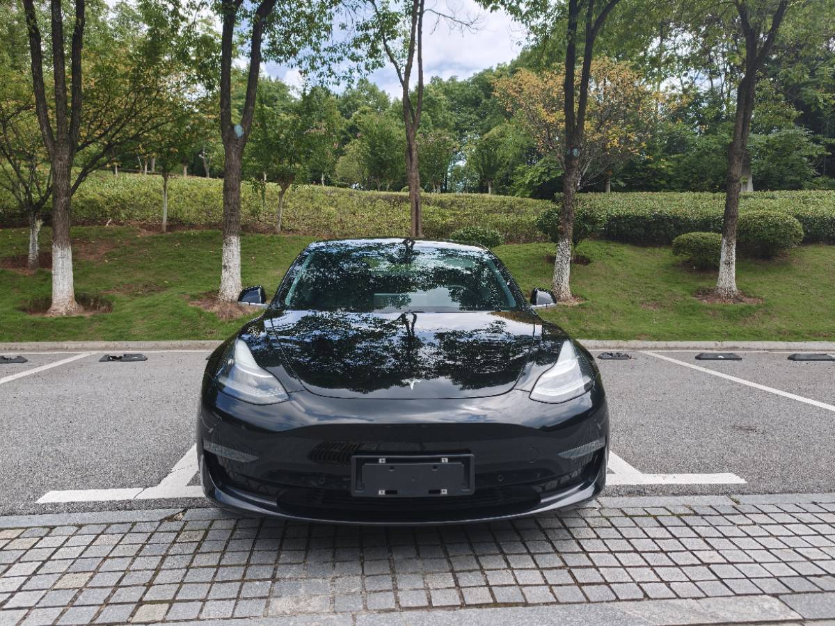 Tesla Model 3 2020 car image #2