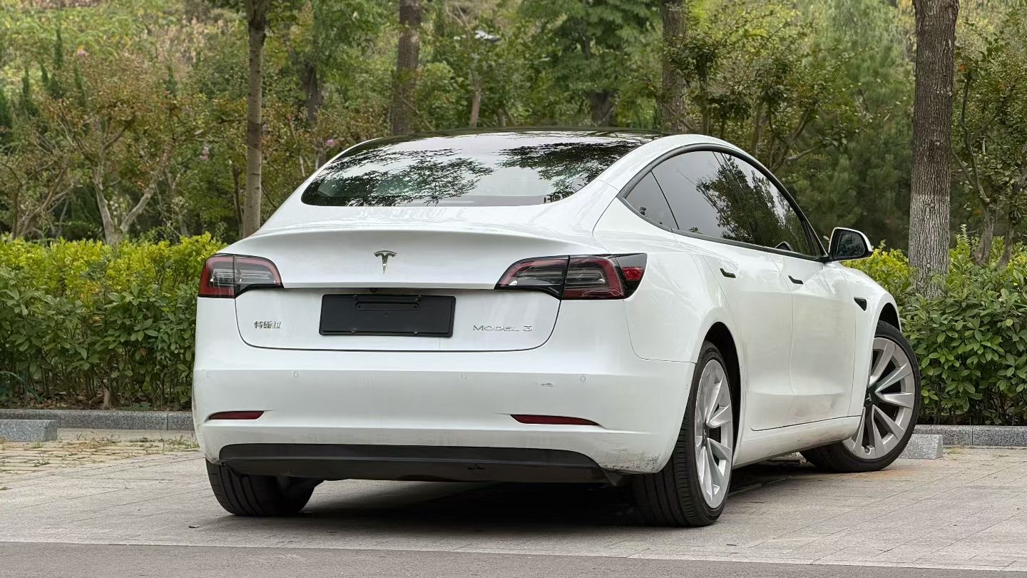 Tesla Model 3 2021 #7 Tesla Model 3 2021 car image #7