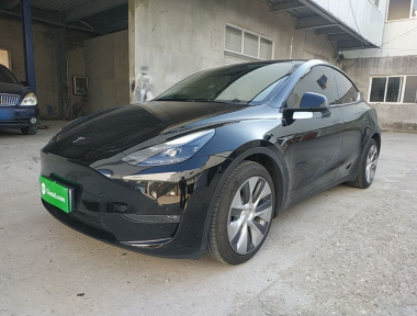Tesla Model Y 2021 Tesla Model Y 2021 car image