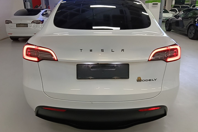 Tesla Model Y 2023 #6 Tesla Model Y 2023 car image #6