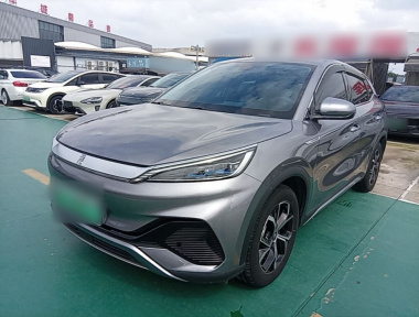 BYD Yuan Plus 2002 car image 