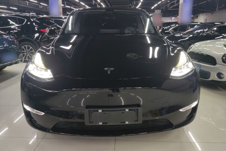 Tesla Model Y 2021 car image #3
