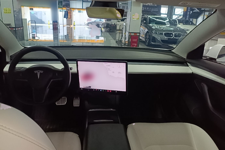 Tesla Model 3 2021 car image #10