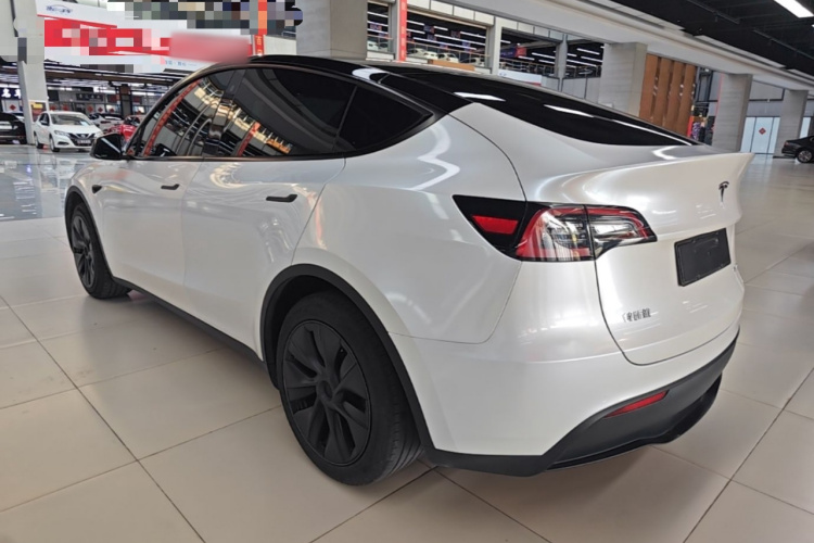 Tesla Model Y 2023 #5 Tesla Model Y 2023 car image #5