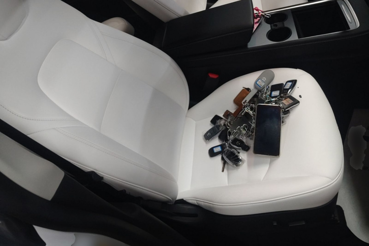 Tesla Model Y 2021 car image #24