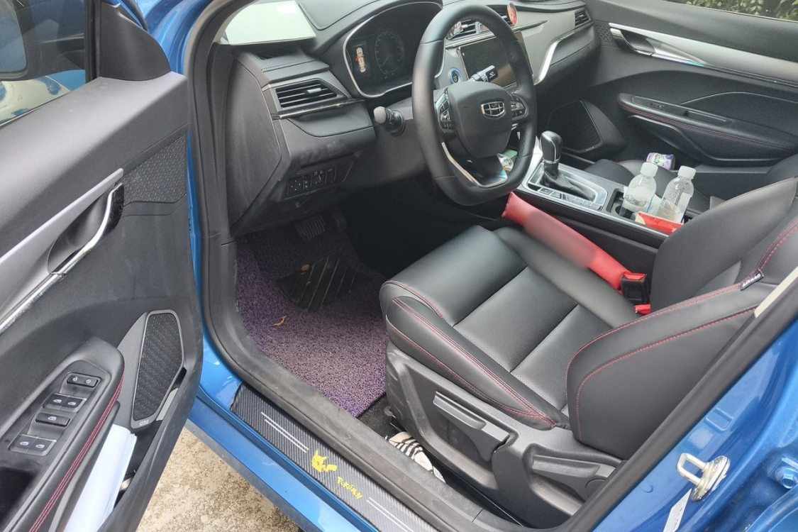 GEELY Binray 2020 #23 GEELY Binray 2020 immagine di auto #23