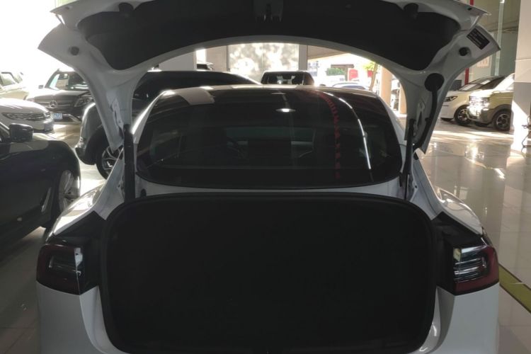 Tesla Model 3 2021 #19 Tesla Model 3 2021 car image #19