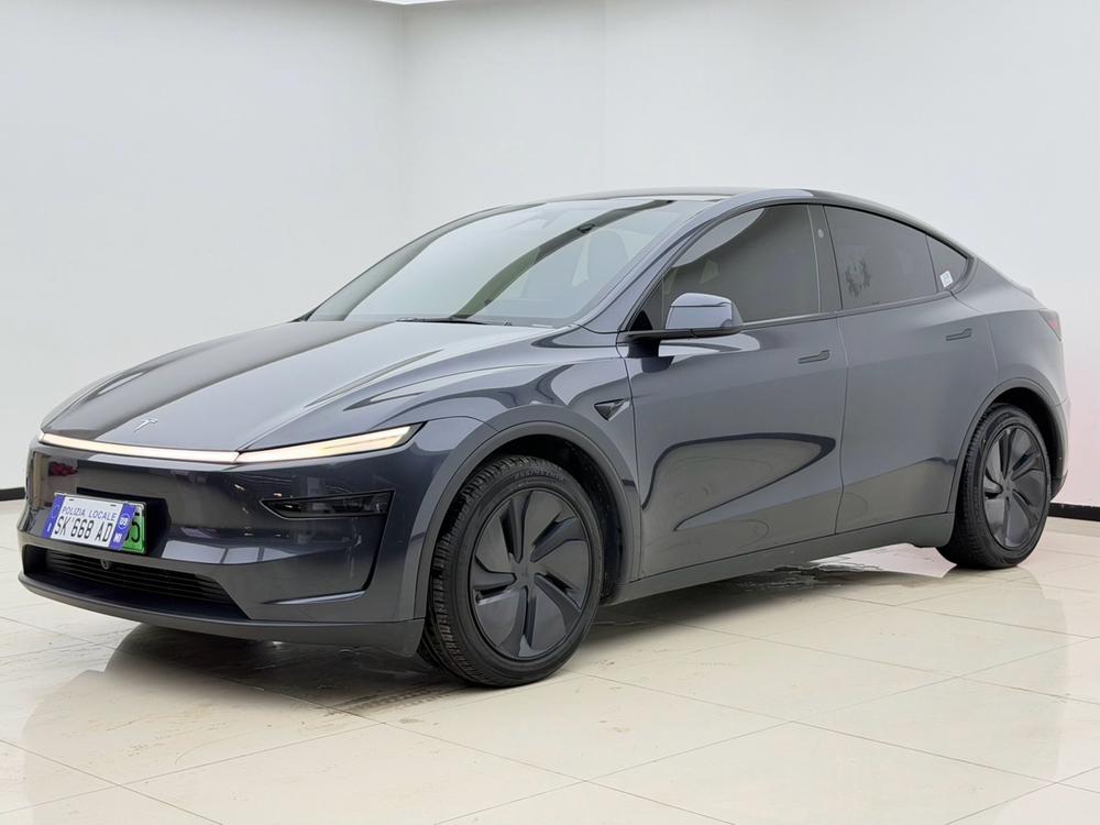 Tesla Model Y 2025 Tesla Model Y 2025 car image
