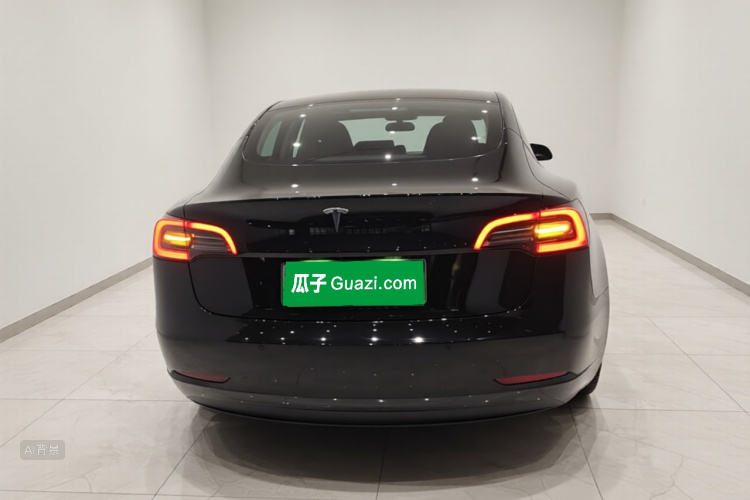 Tesla Model 3 2021 car image #6