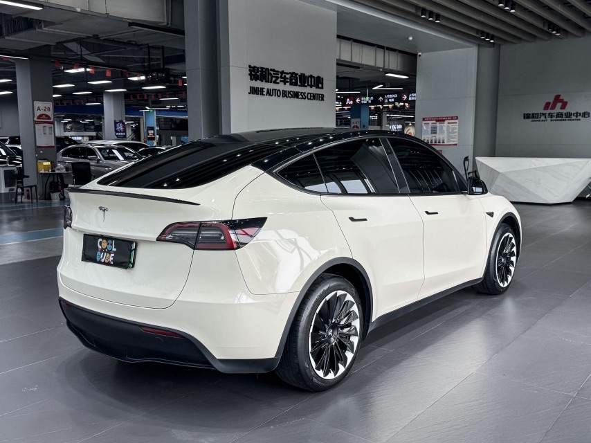 Tesla Model Y 2024 car image #6