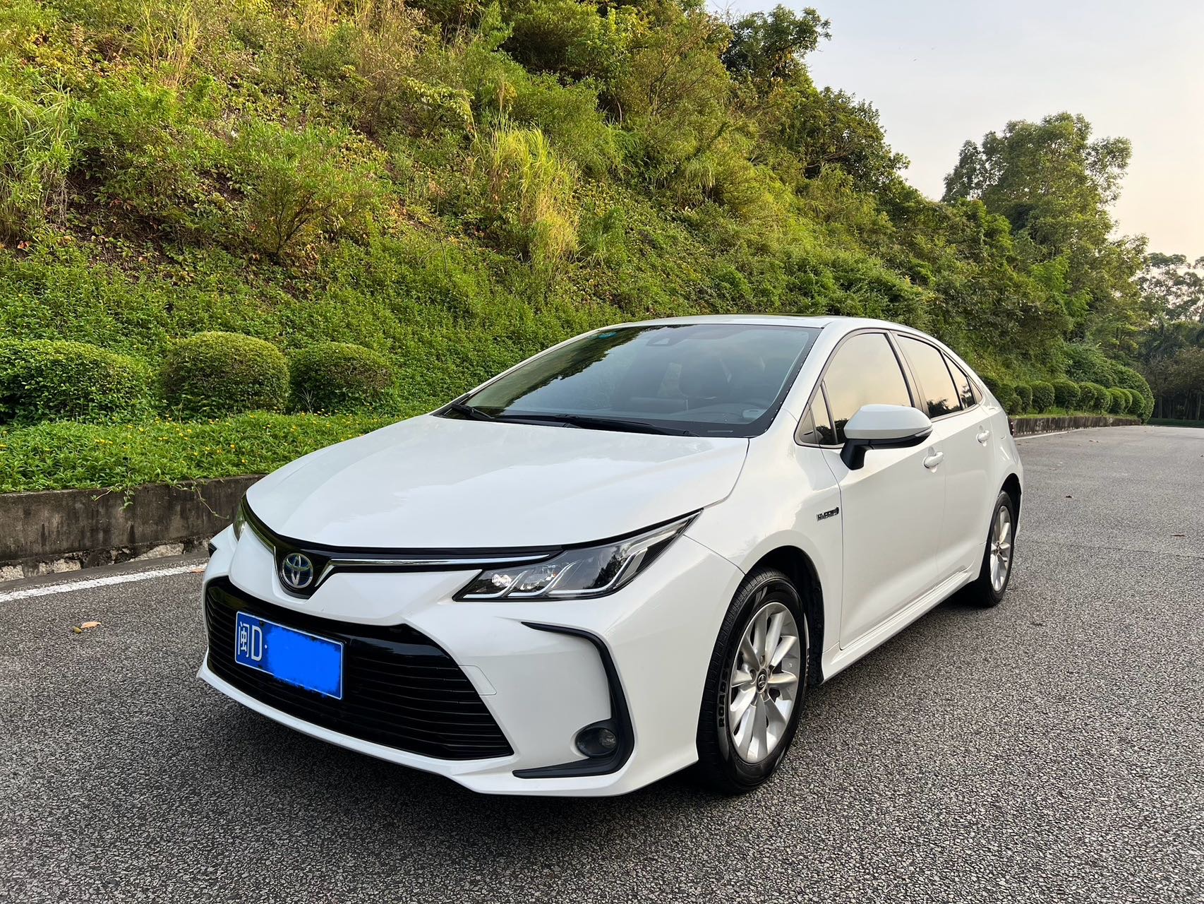 Toyota Corolla 2020 #2 Toyota Corolla 2020 car image #2