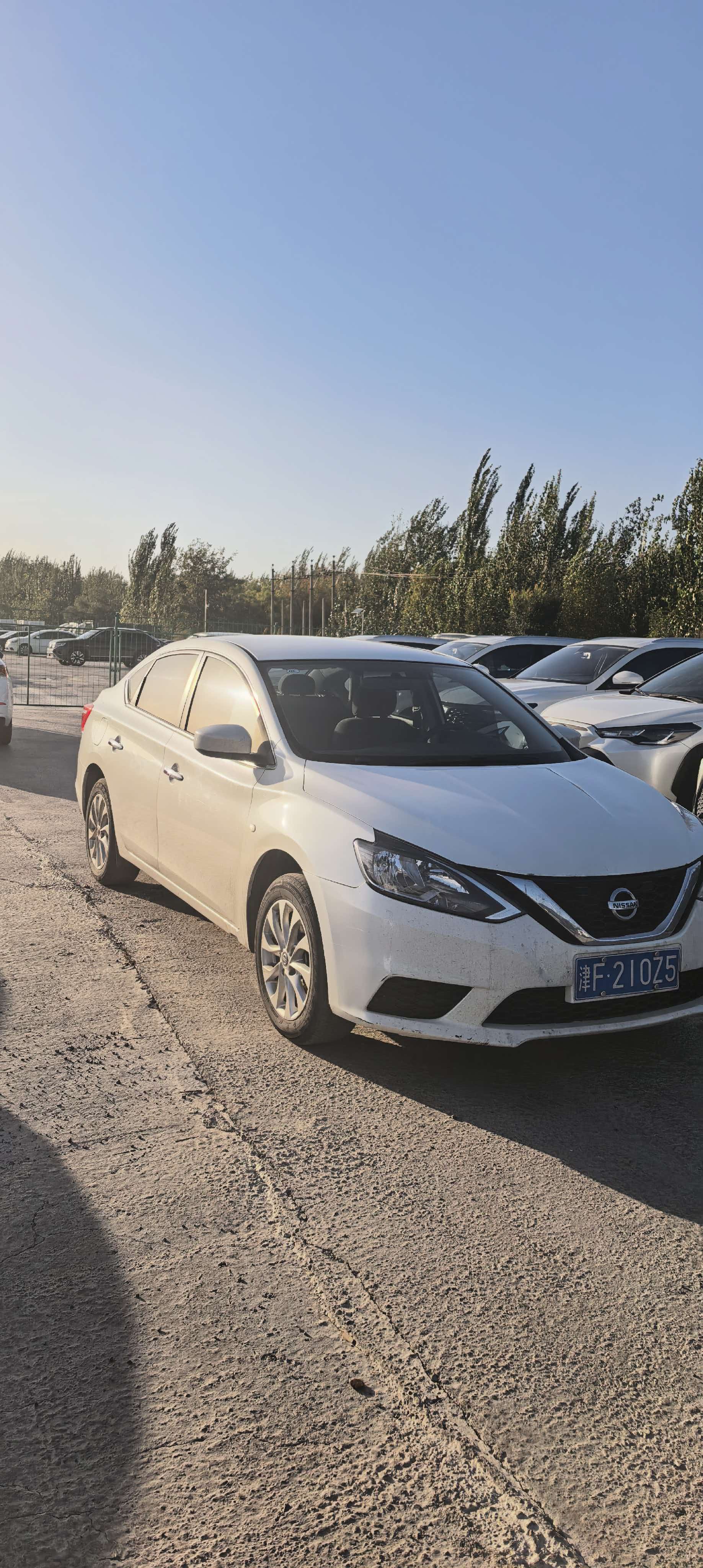 Nissan Sylphy 2023 #5 Nissan Sylphy 2023 car image #5