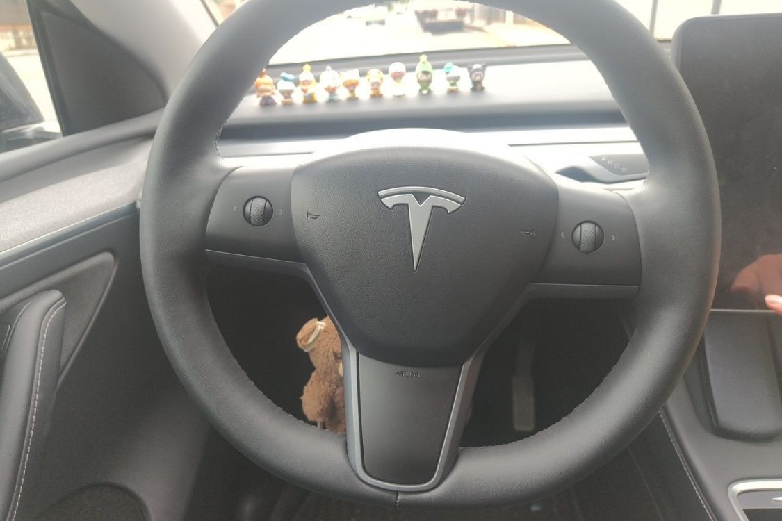 Tesla Model Y 2023 #24 Tesla Model Y 2023 car image #24