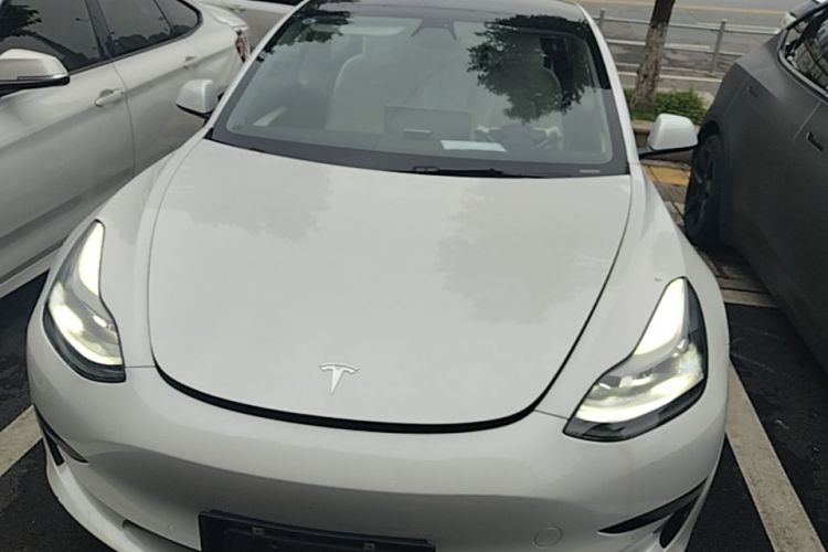 Tesla Model 3 2021 #3 Tesla Model 3 2021 car image #3