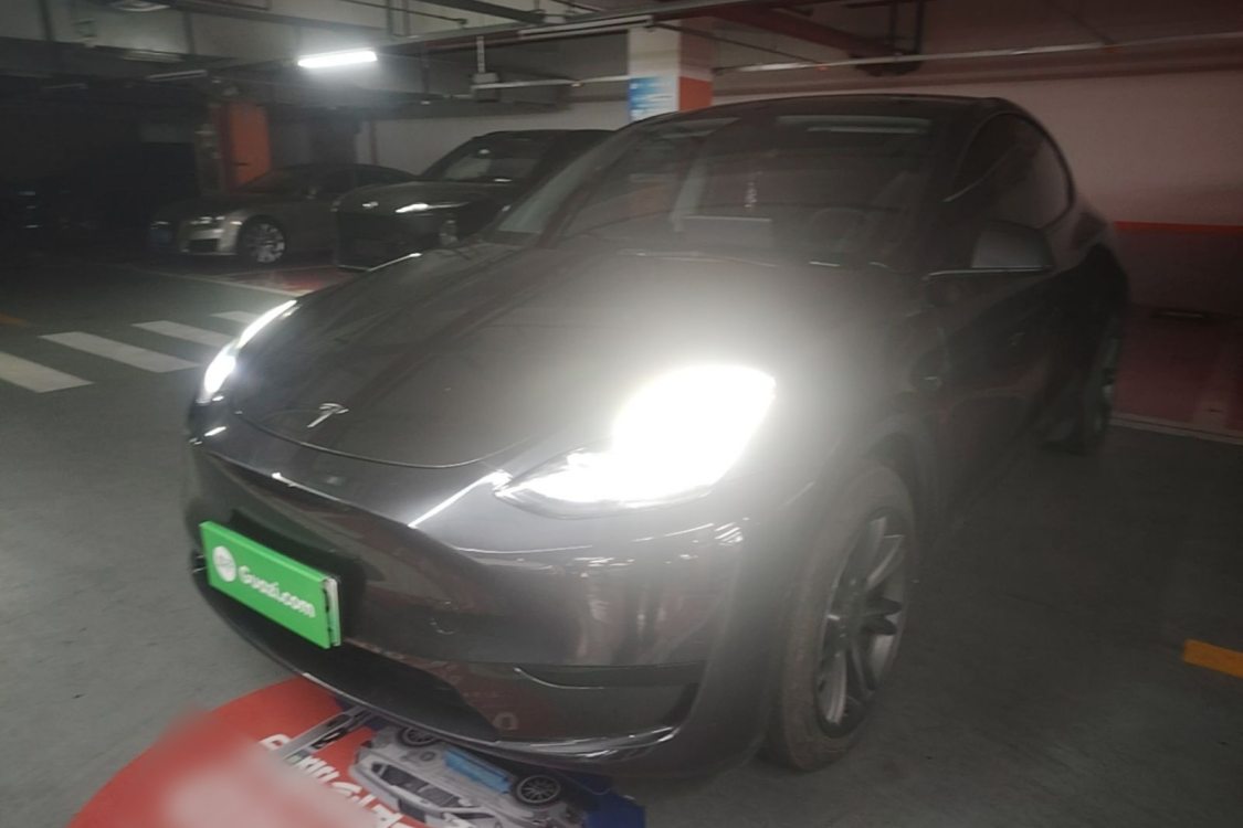 Tesla Model Y 2024 Tesla Model Y 2024 car image