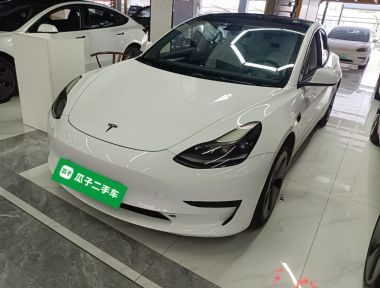 Tesla Model 3 2021 car image 