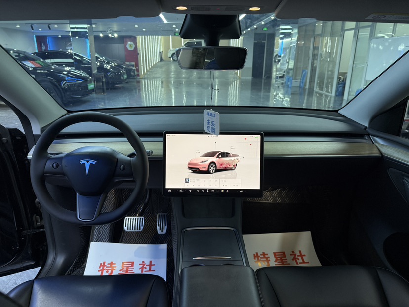 Tesla Model Y 2022 car image #6