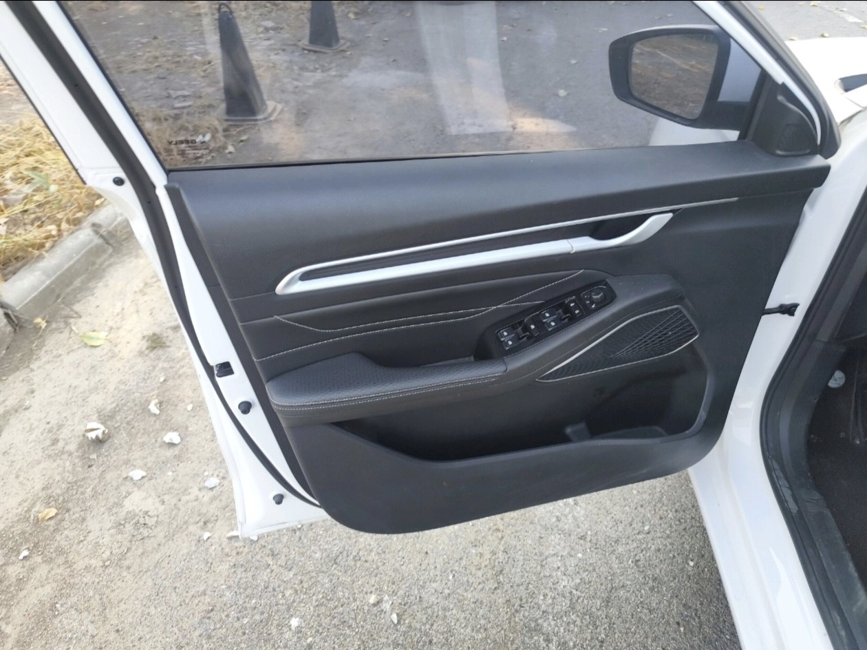 GEELY Emgrand 2023 immagine di auto #4