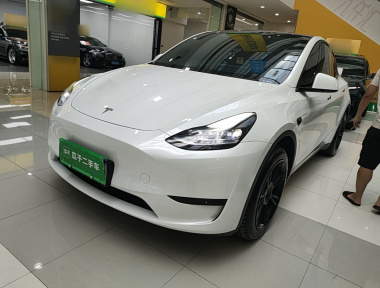 Tesla Model Y 2024 immagine di auto 