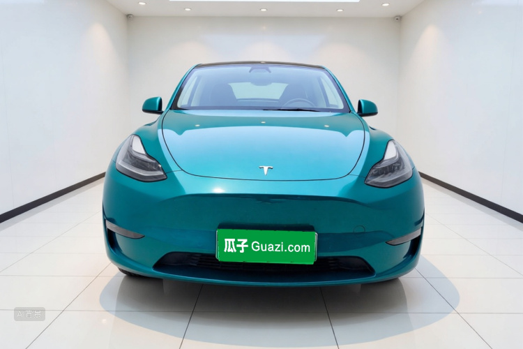 Tesla Model Y 2021 car image #3