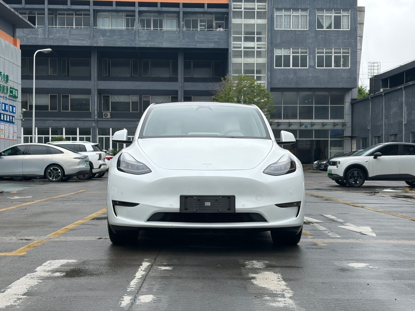Tesla Model Y 2021 car image 