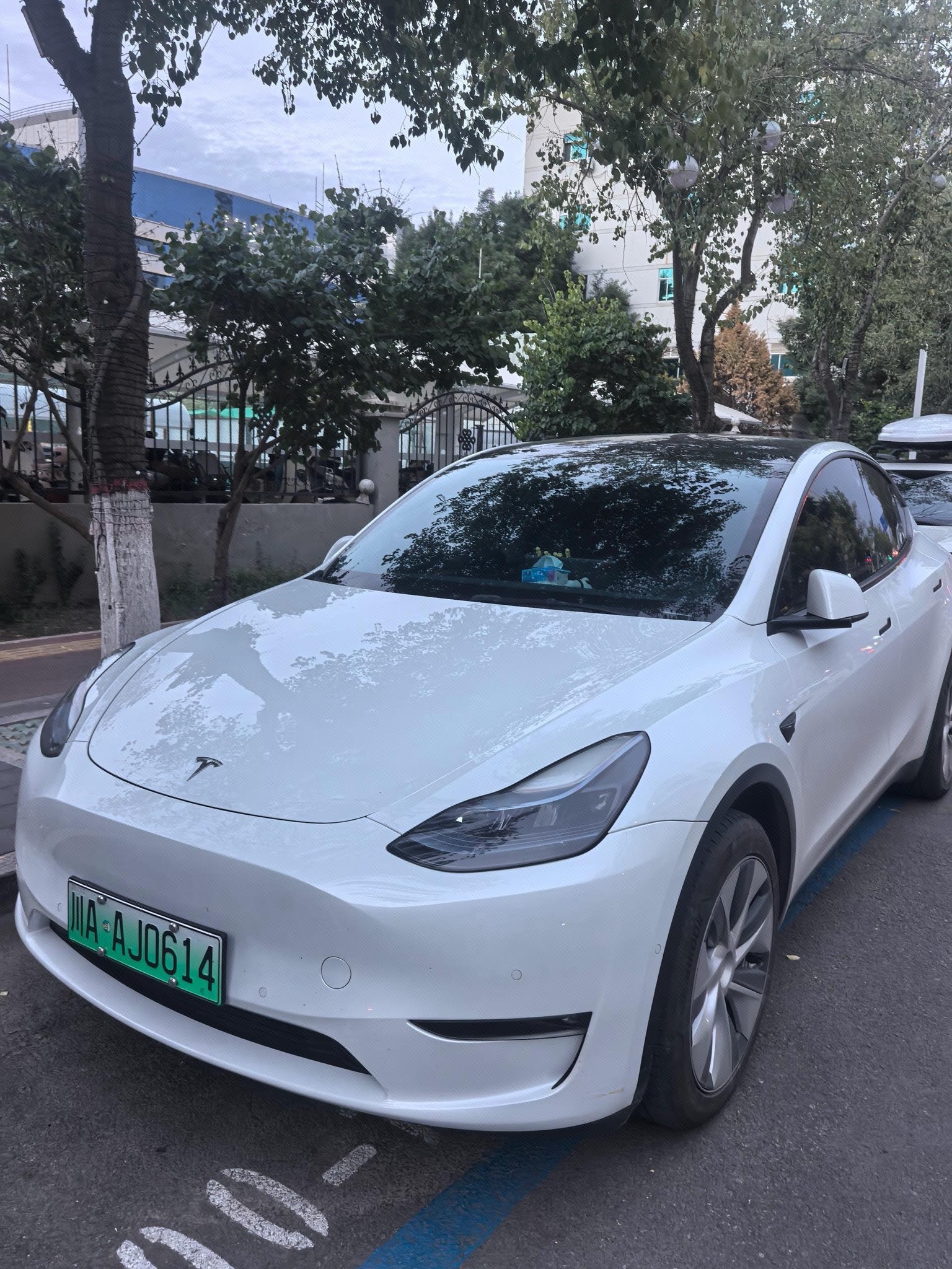 Tesla Model Y 2023 car image 