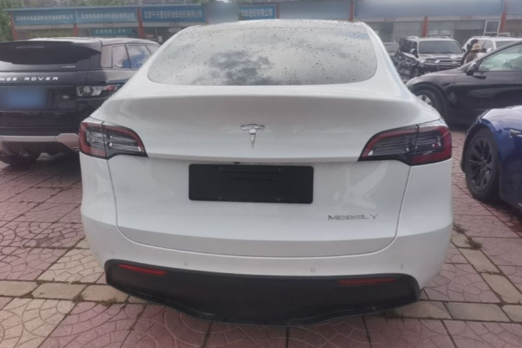 Tesla Model Y 2021 car image #6