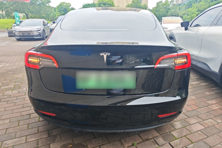 Tesla Model 3 2023 #6 Tesla Model 3 2023 car image #6