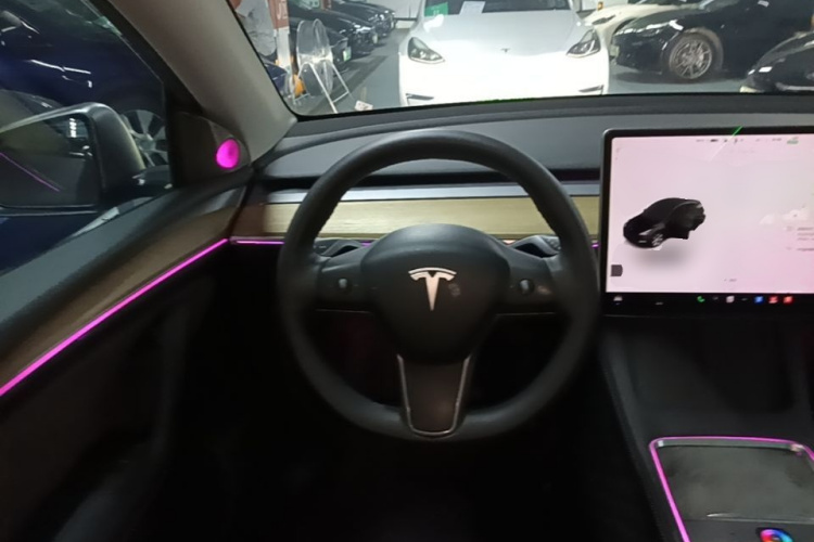 Tesla Model Y 2023 car image #15