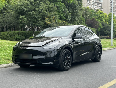 Tesla Model Y 2022 car image 