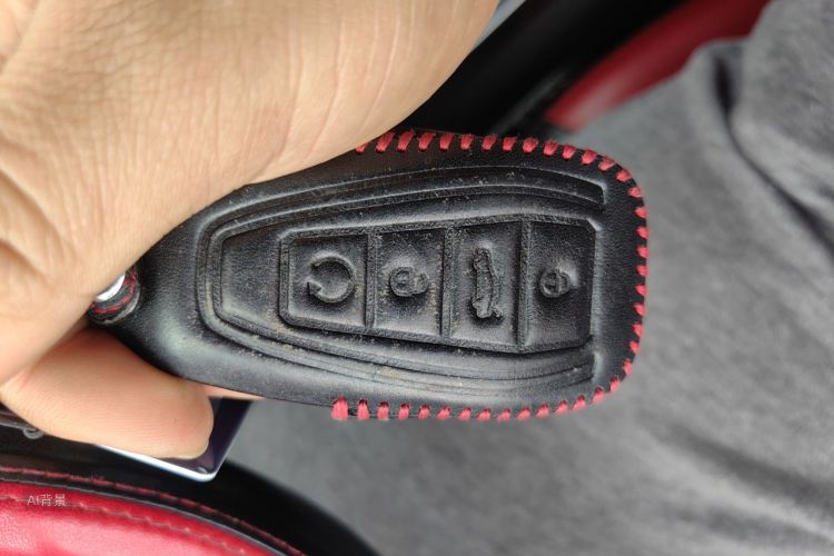 GEELY Emgrand GS 2020 car image #10