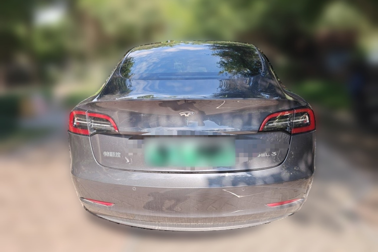 Tesla Model 3 2021 #4 Tesla Model 3 2021 car image #4