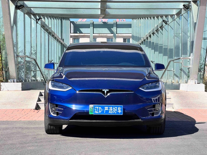 Tesla Model X 2019 car image #2