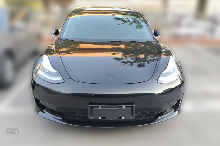 Tesla Model 3 2020 #3 Tesla Model 3 2020 car image #3
