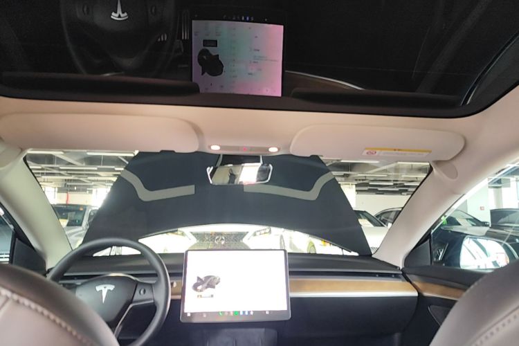 Tesla Model 3 2021 #18 Tesla Model 3 2021 car image #18