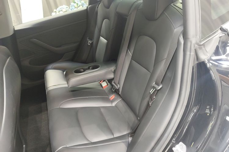 Tesla Model 3 2020 car image #13