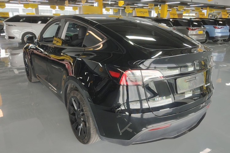 Tesla Model Y 2023 #5 Tesla Model Y 2023 car image #5