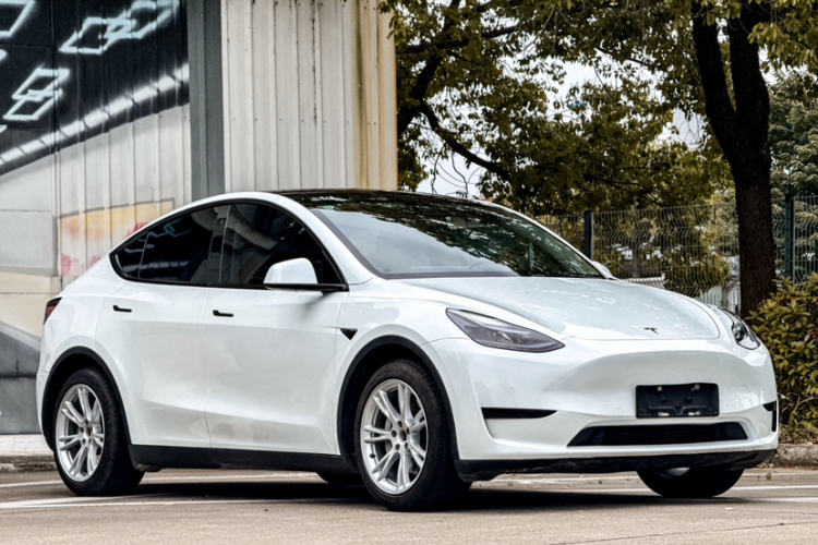 Tesla Model Y 2022 car image #7