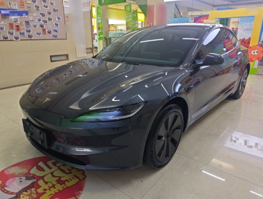 Tesla Model 3 2024 Tesla Model 3 2024 car image