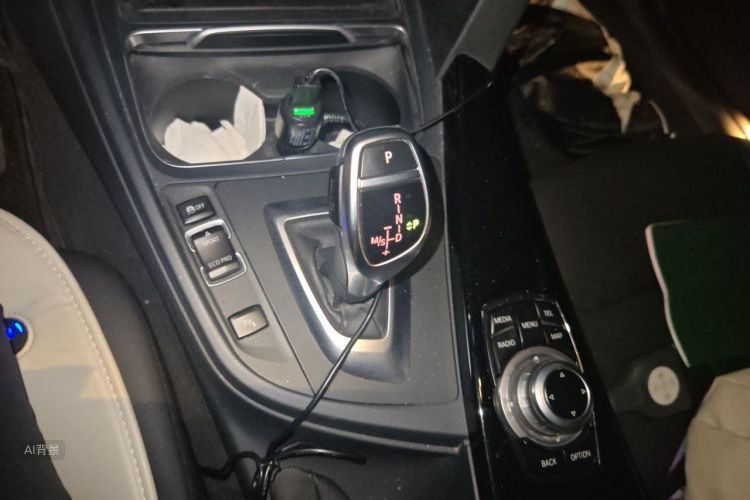 BMW 3 Series 2017 #16 BMW 3 Series 2017 car image #16