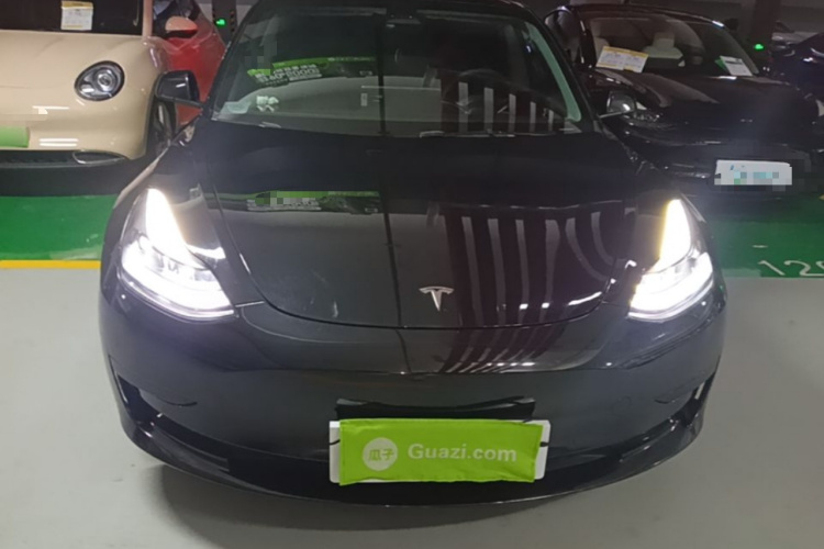 Tesla Model 3 2021 #3 Tesla Model 3 2021 car image #3