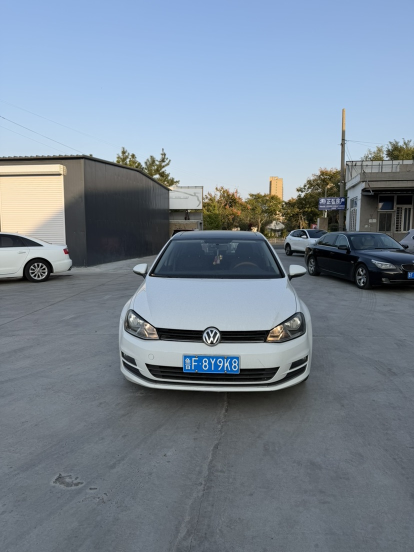 Volkswagen Golf 2014 Volkswagen Golf 2014 car image