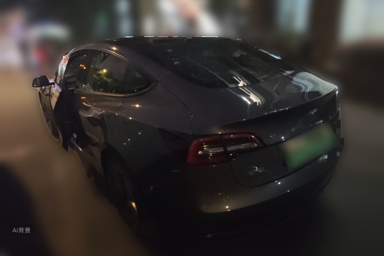 Tesla Model 3 2021 car image #5
