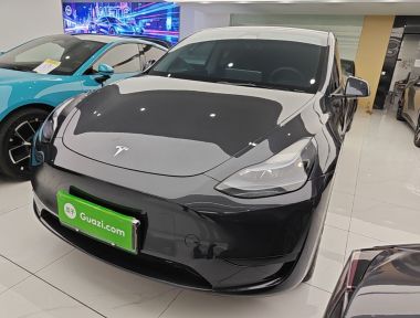 Tesla Model Y 2024 Tesla Model Y 2024 car image