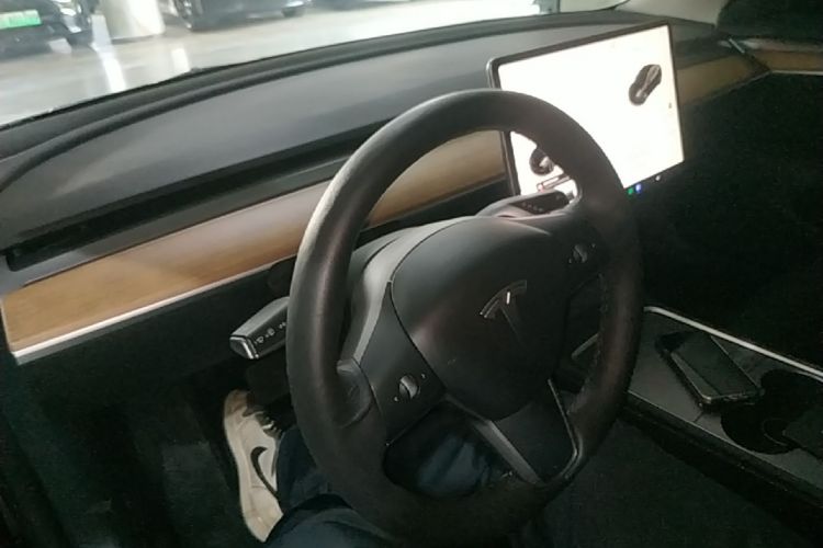 Tesla Model 3 2022 car image #10